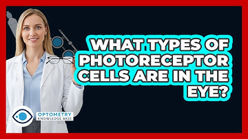 What Types Of Photoreceptor Cells Are In The Eye?