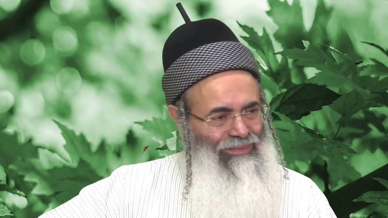 פרשת תצוה | מצב כלל ישראל דומה למציאות של הזית • הרב אמנון יצחק