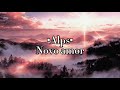Novo Amor - Alps (Slowed + Lyrics)