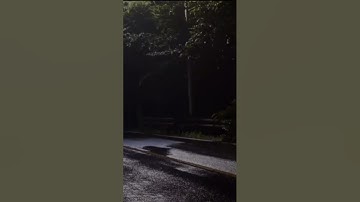 أرح ذهنك راحه نفسيه سوره الجن بصوت محمد اللحيدان اجمل تلاوه خاشعه 🌹