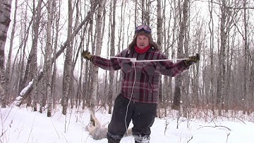 How to set a Power Ram for snaring coyote