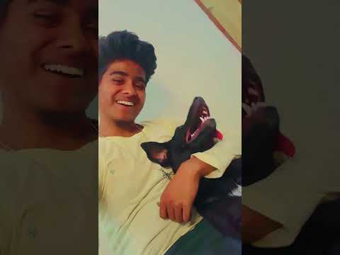 Love Tujhe Love 🤩🥰 #love #explore #vishalvlogsshort #love #lovesong #song #oldisgold