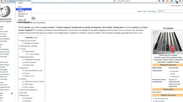 What You See Is What You Get (WYSIWYG) editor