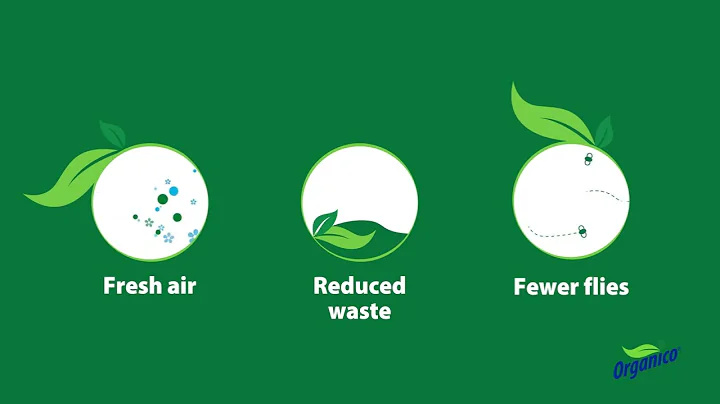 The best way to clean pit latrines effectively