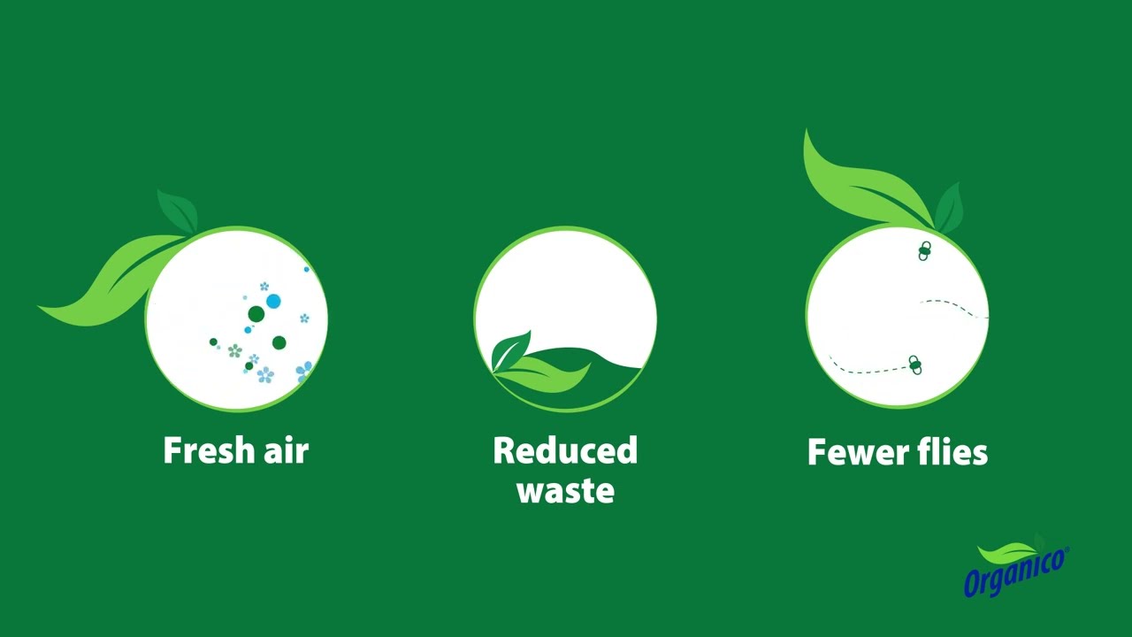 The best way to clean pit latrines effectively