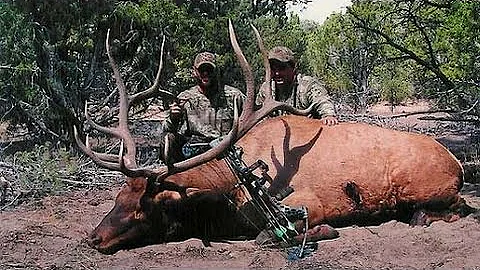 Utah Archery Elk Hunt 372" Bull - Morty Marshall - MossBack