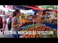 VISITA AL MERCADO DE TEPOZTLÁN / VLOG