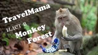 Что посетить на Бали: ТрэвэлМама в Лесу обезьян в Убуде (Monkey Forest)
