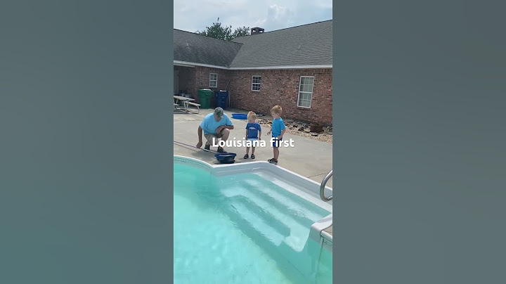 Turtle swim
