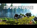 Гайд о Приручении Существ в ARK Survival Evolved!