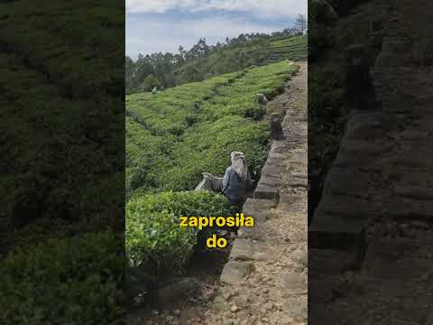 NIESPODZIANKI na Sri Lance