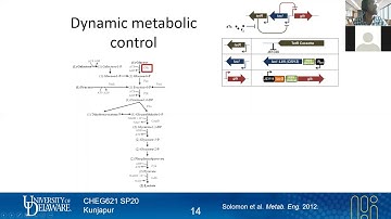 28 Dynamic knockdown | Biosensors & Synthetic Circuits | Lecture 15 | Metabolic Engineering | SP20