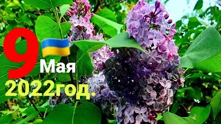 9 Мая Украина город Кропивницкий/Кировоград