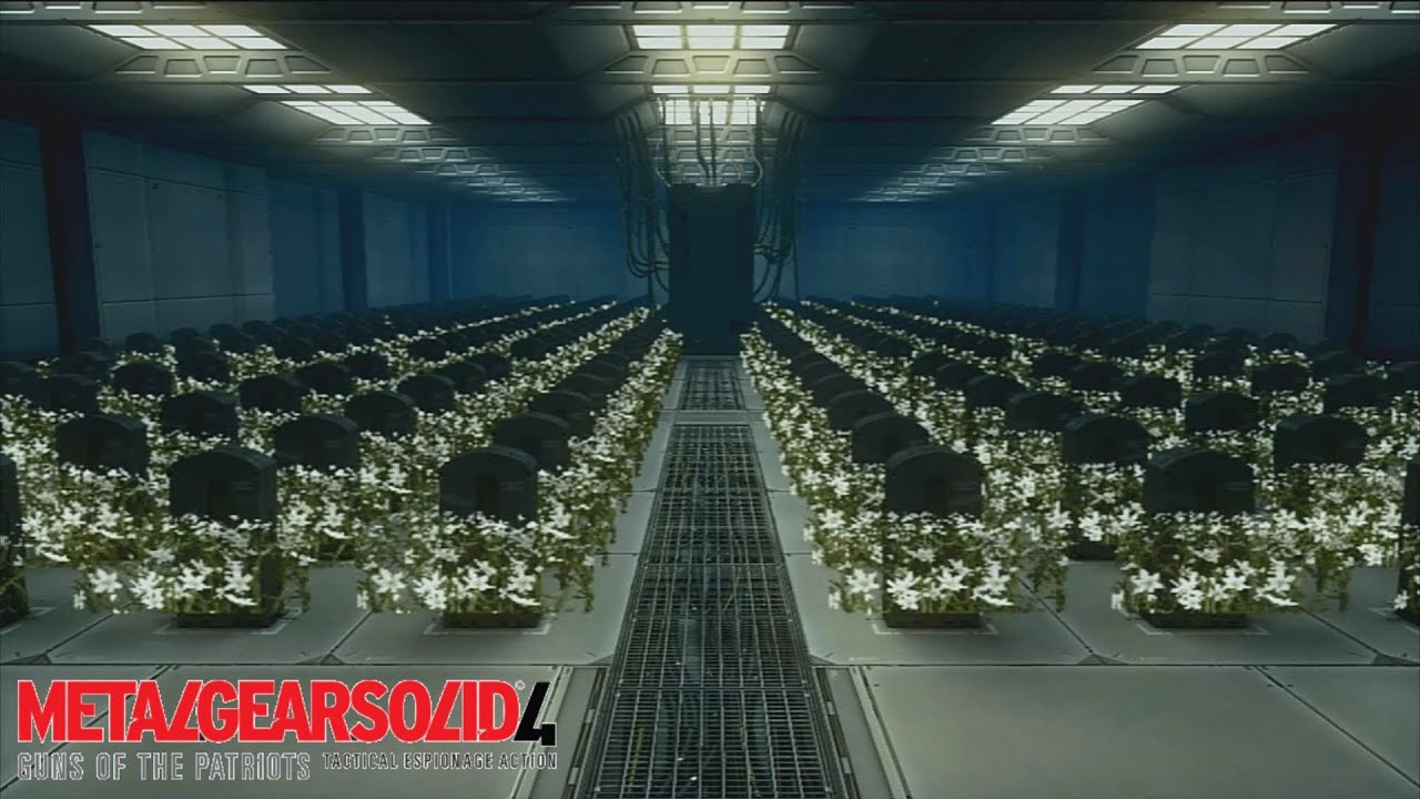 サニーが作ったfoxaliveをg Wへ注入すると 突如ナオミが現れスネークとハルに最後の言葉を残し世界は無垢な子供に還った Mgs4 33 メタルギアソリッド4ストーリームービー高画質 Ps3 Youtube
