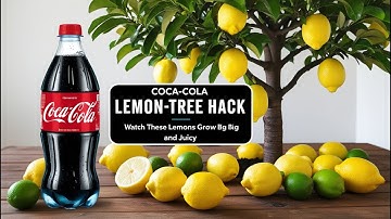 Can Coca-Cola Grow Lemons? Find Out in This Hilarious Garden Hack! 🍋🥤