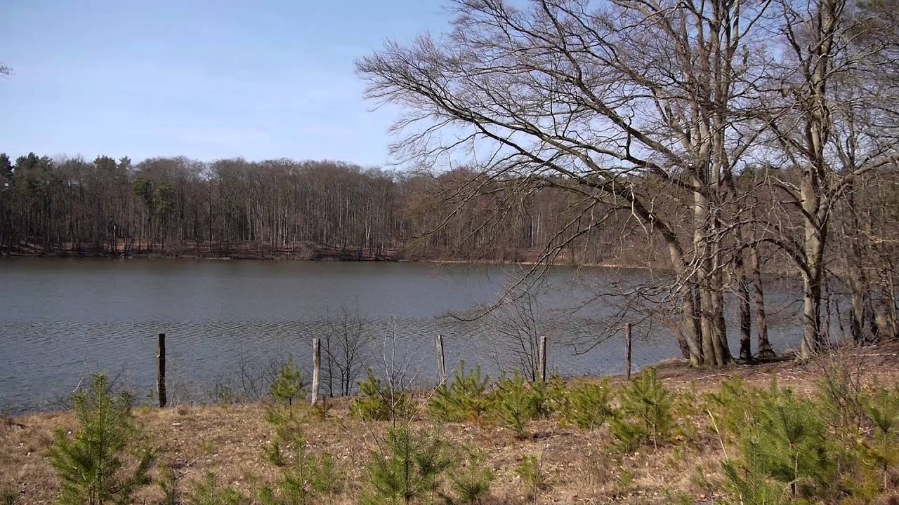 Dollgowsee Ablage - D102