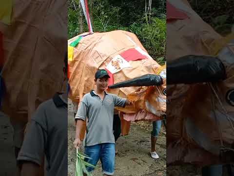 karnaval Sapi super