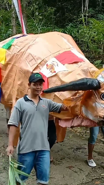 karnaval Sapi super jumbo