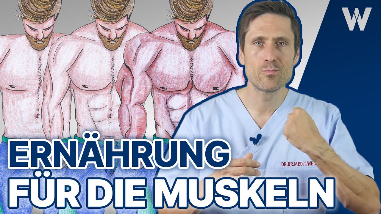 5x Ernährung für den schnellen Muskelaufbau & Transformation: Diese Nahrung geht in die Muskeln!