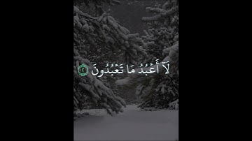 سورة الكافرون بصوت الشيخ فارس عباد #سورة_الكافرون  #الشيخ_فارس_عباد