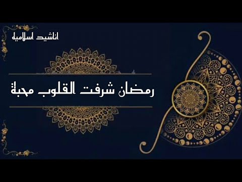 انشودة رمضان شرفت القلوب محبة للمنشد فارس الحيدري انشودة في قمة الروعة