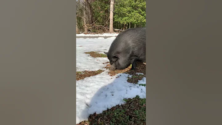 Marci comes out to investigate after the snow
