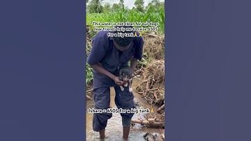 PayPal link in bio to donate or send me a massage via my WhatsApp link in bio for more information🙏