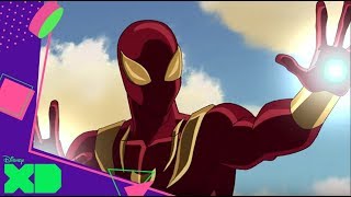 Marvel: Ultimate SpiderMan  Encallados | Disney XD España
