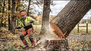 When Logging Operations Collapse | Chainsaw Errors & Heavy Truck Disasters