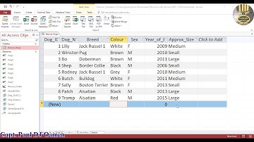 SQL Tutorial of how to use the operator AND to search for records in Microsoft Access