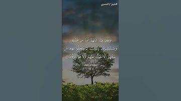 القارئ خليل الحصري 🍁🌹| آيات من سورة آل عمران 🌸