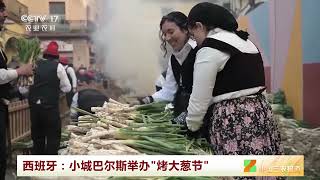[中国三农报道]西班牙：小城巴尔斯举办“烤大葱节”|农业致富经 Agriculture And Farming