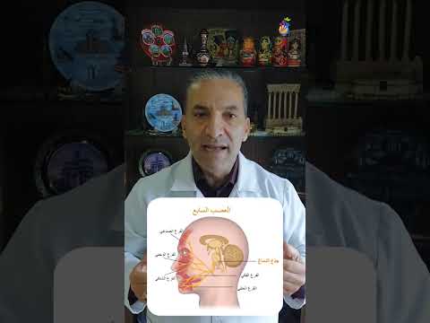 اعصاب صحة  لبنان معلومة نصائح   العراق الكويت  ام اهل قلب امراة ا
