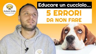 🐶 Come Educare un Cucciolo: i 5 Errori che Devi Assolutamente Evitare | Giuliano Addestratore