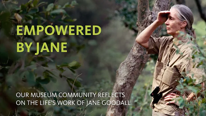 Empowered by Jane: Our Museum community reflects o...