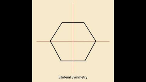 Bilateral Symmetry: Regular Hexagon