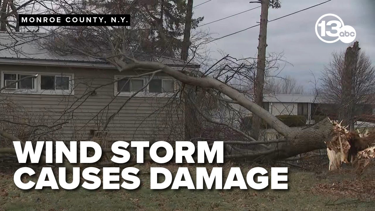 High winds bring down trees and power lines, knock out power for ...