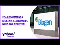 Fda recommends biogens alzheimers drug for approval