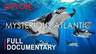 THE MYSTERIOUS ATLANTIC  | Where Beauty, Danger and Survival Become One | FULL DOCUMENTARY