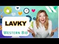 Всё что Вы хотели узнать о Lavky.com!