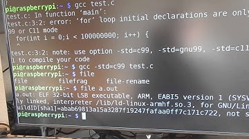 How fast can Raspi 3 (ARM) emulate x86 instructions?