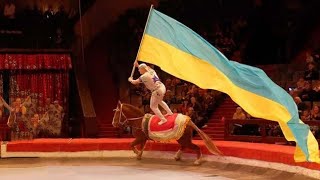 Трюки на лошадях🐎 🐴 Харьковский ЦИРК 🎪 2020. Miss Lina Gymnastics