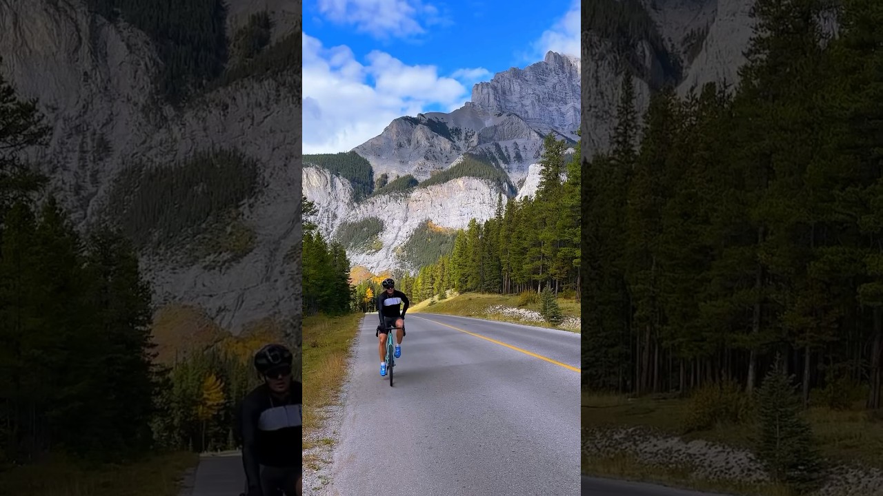 Alberta is calling! We did a mini vacay last year cause I wanted to see the larches change colours💛