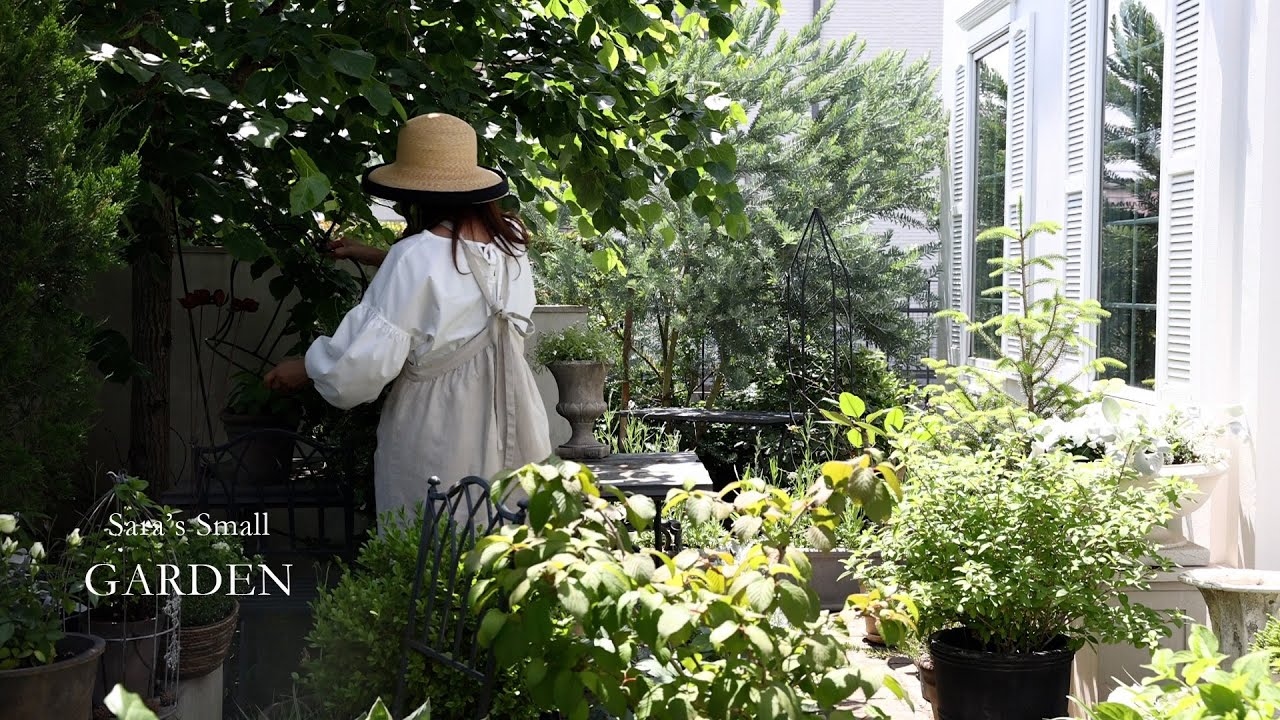 Создание ритма, заставляющего цветы цвести один за другим в летнем саду.