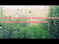 Rain Sounds 4 Hours:The Sound of Rain Meditation,Autogenc Training, Deep Sleep,Relaxing Sounds