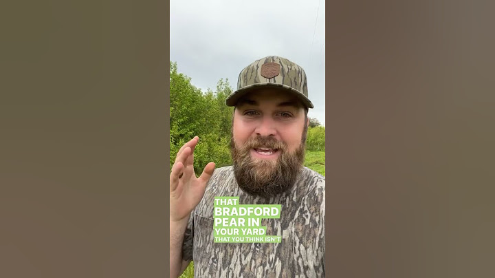 Why you should kill your Bradford Pears!! #gardening #landscaping #invasivespecies #conservation