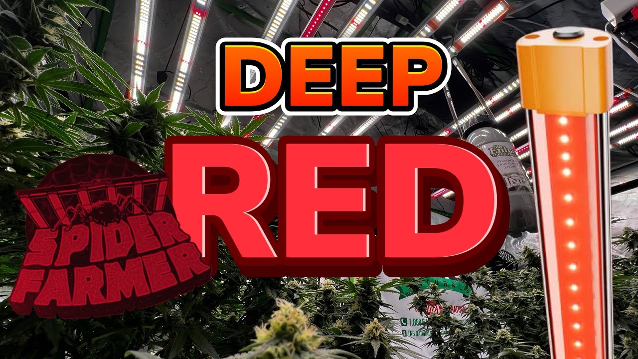 Spider Farmer R60 DEEP RED Supplemental Lights / Unboxing and Install