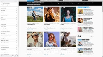 Customizer Theme Options - GridLane PRO WordPress Theme