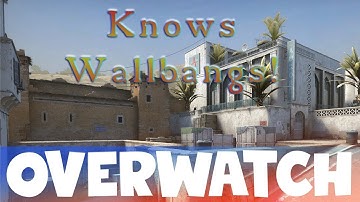 He sure knows his Wallbangs! CS:GO OVERWATCH