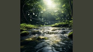 Gentle Binaural Waters Echo